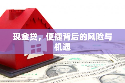 西港现金贷，便捷背后的风险与机遇