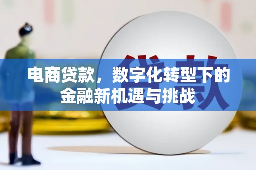 刚察电商贷款，数字化转型下的金融新机遇与挑战