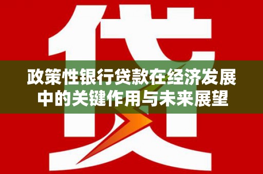 大洼政策性银行贷款在经济发展中的关键作用与未来展望