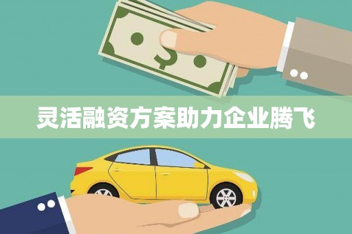 大东灵活融资方案助力企业腾飞
