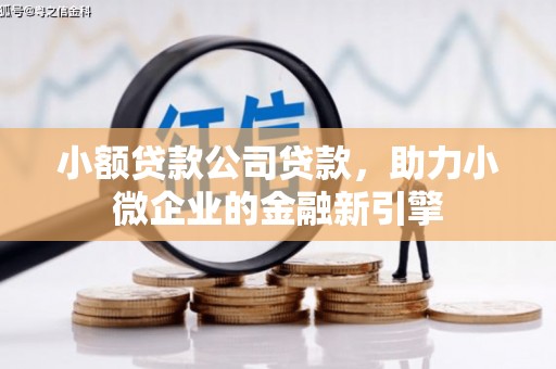 鄯善小额贷款公司贷款，助力小微企业的金融新引擎