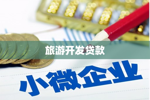 大名旅游开发贷款