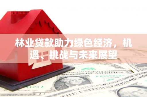 朱家尖林业贷款助力绿色经济，机遇、挑战与未来展望