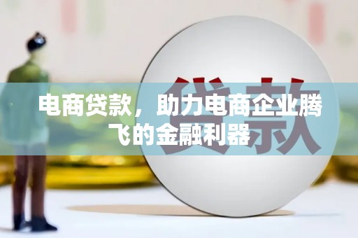 阳山电商贷款，助力电商企业腾飞的金融利器