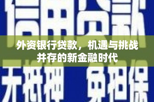 凉山外资银行贷款，机遇与挑战并存的新金融时代