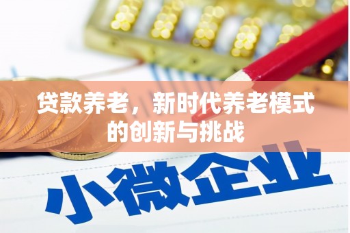 盐源贷款养老，新时代养老模式的创新与挑战