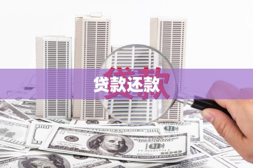 水林贷款还款