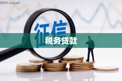 抚远税务贷款