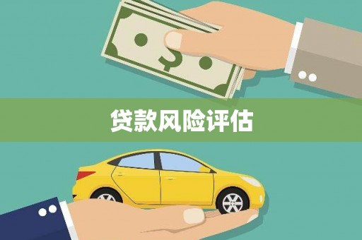 桐城贷款风险评估