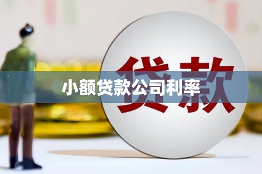 舞阳小额贷款公司利率