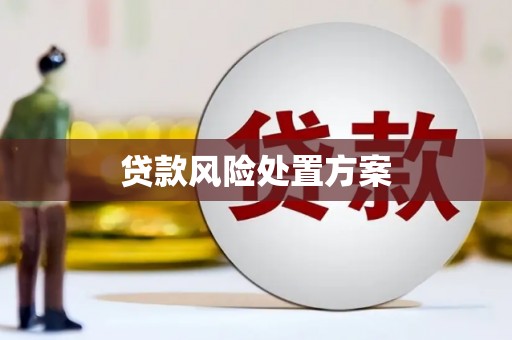 遵化贷款风险处置方案
