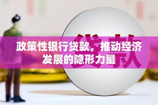 新泰政策性银行贷款，推动经济发展的隐形力量