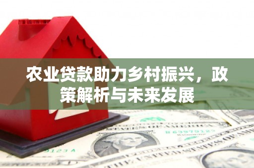 沂源农业贷款助力乡村振兴，政策解析与未来发展