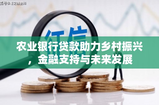 安康农业银行贷款助力乡村振兴，金融支持与未来发展