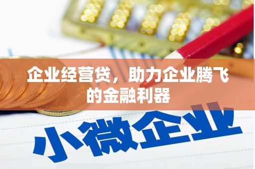 沧县企业经营贷，助力企业腾飞的金融利器