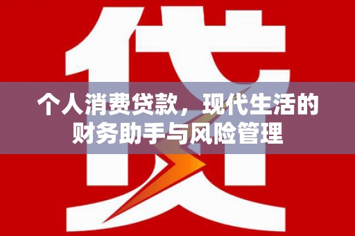 鱼峰个人消费贷款，现代生活的财务助手与风险管理