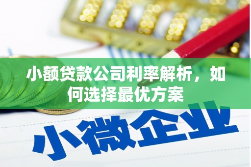 临西小额贷款公司利率解析，如何选择最优方案