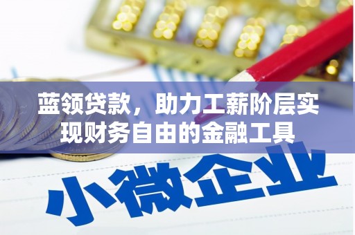 天峨蓝领贷款，助力工薪阶层实现财务自由的金融工具