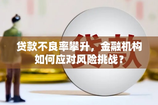 五华贷款不良率攀升，金融机构如何应对风险挑战？