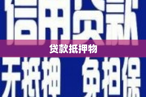 宁南贷款抵押物