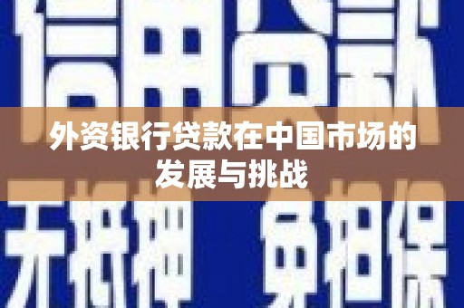 三穗外资银行贷款在中国市场的发展与挑战