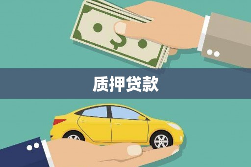 阜康质押贷款
