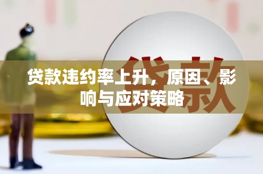 西畴贷款违约率上升，原因、影响与应对策略
