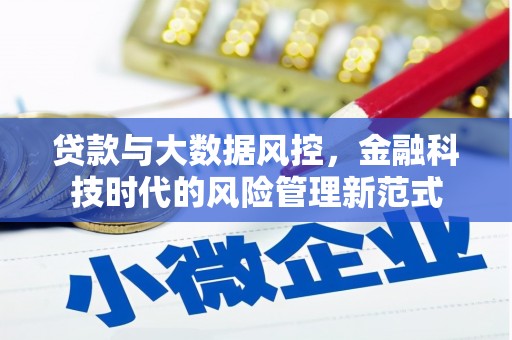 汝南贷款与大数据风控，金融科技时代的风险管理新范式