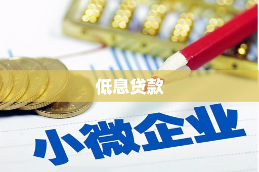 口湖低息贷款