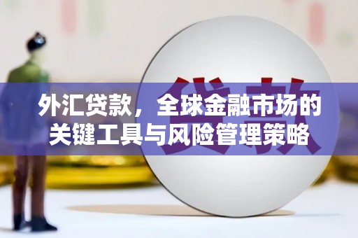 碑林外汇贷款，全球金融市场的关键工具与风险管理策略