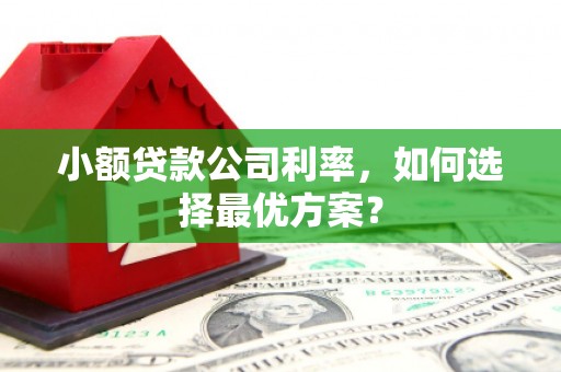 盐田小额贷款公司利率，如何选择最优方案？