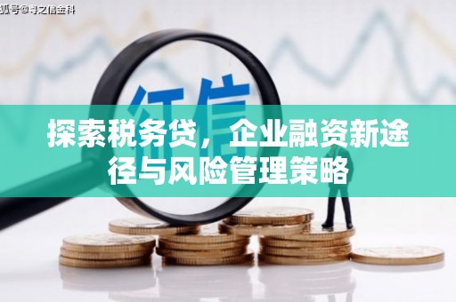 市中区探索税务贷，企业融资新途径与风险管理策略