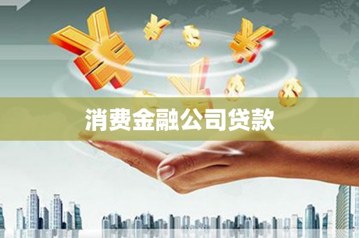 丽水消费金融公司贷款