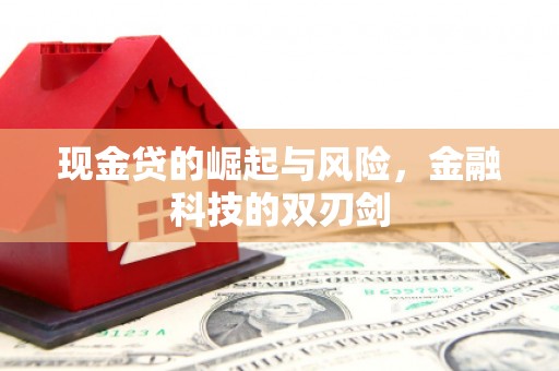 灌云现金贷的崛起与风险，金融科技的双刃剑