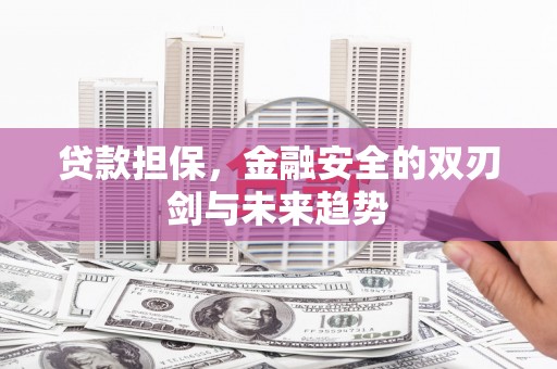 那玛夏贷款担保，金融安全的双刃剑与未来趋势