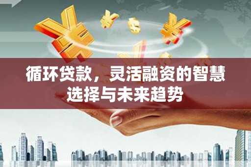 德令哈循环贷款，灵活融资的智慧选择与未来趋势