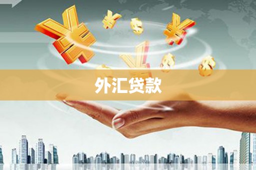 集贤外汇贷款