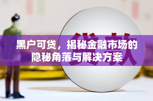 新园黑户可贷，揭秘金融市场的隐秘角落与解决方案