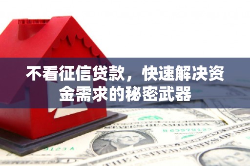 三民不看征信贷款，快速解决资金需求的秘密武器