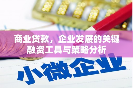 乐东商业贷款，企业发展的关键融资工具与策略分析