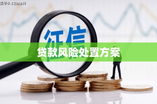 中正贷款风险处置方案
