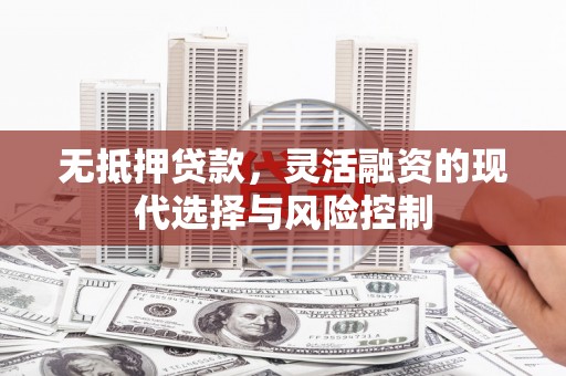 射阳无抵押贷款，灵活融资的现代选择与风险控制