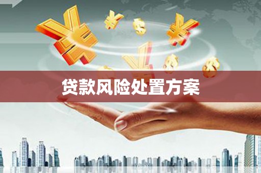 叶县贷款风险处置方案