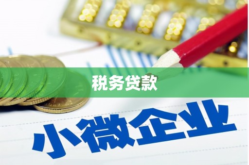 沧县税务贷款