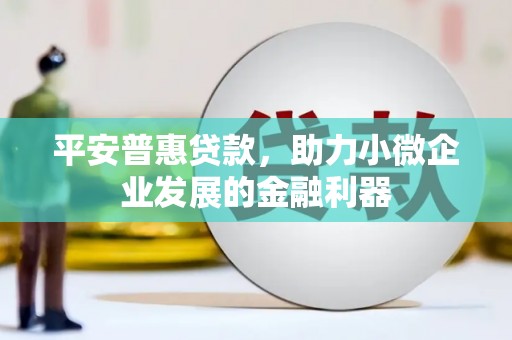 巴塘平安普惠贷款，助力小微企业发展的金融利器