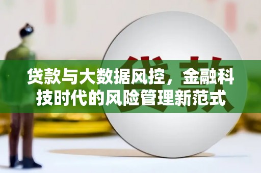 沙洋贷款与大数据风控，金融科技时代的风险管理新范式