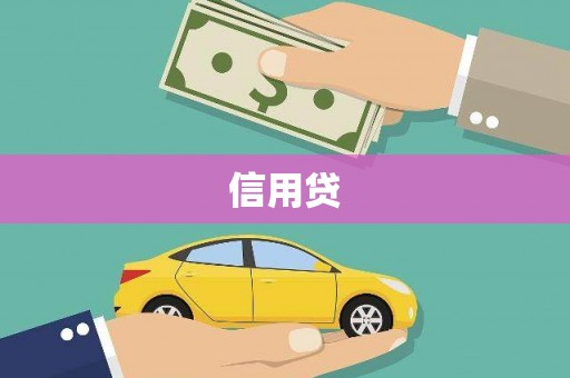 天津信用贷