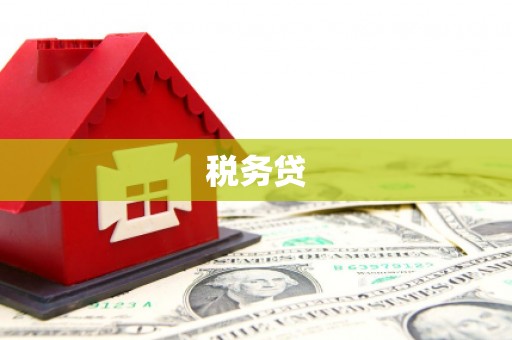 台东税务贷