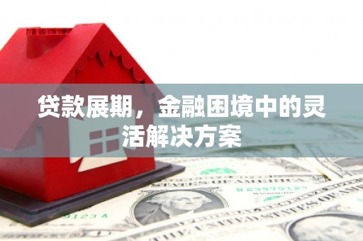 元谋贷款展期，金融困境中的灵活解决方案