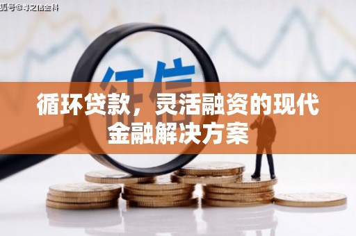 界首循环贷款，灵活融资的现代金融解决方案